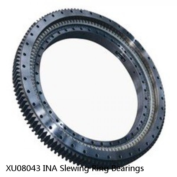 XU08043 INA Slewing Ring Bearings