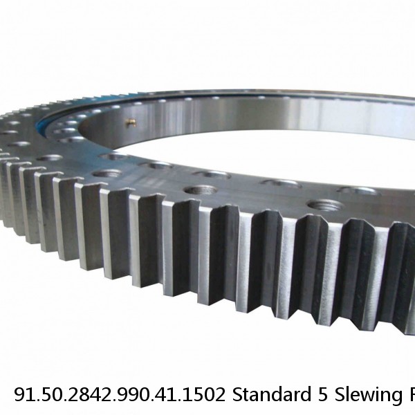 91.50.2842.990.41.1502 Standard 5 Slewing Ring Bearings