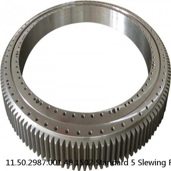 11.50.2987.001.49.1502 Standard 5 Slewing Ring Bearings