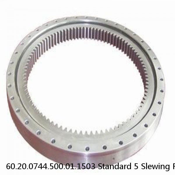 60.20.0744.500.01.1503 Standard 5 Slewing Ring Bearings