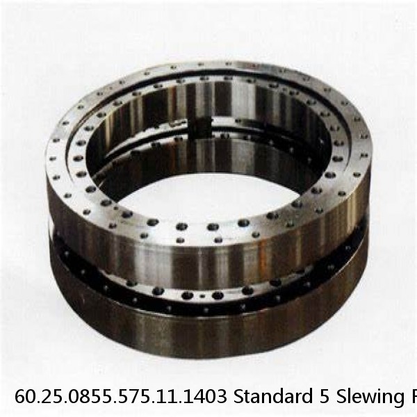 60.25.0855.575.11.1403 Standard 5 Slewing Ring Bearings