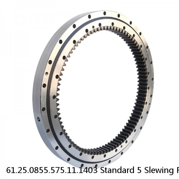 61.25.0855.575.11.1403 Standard 5 Slewing Ring Bearings