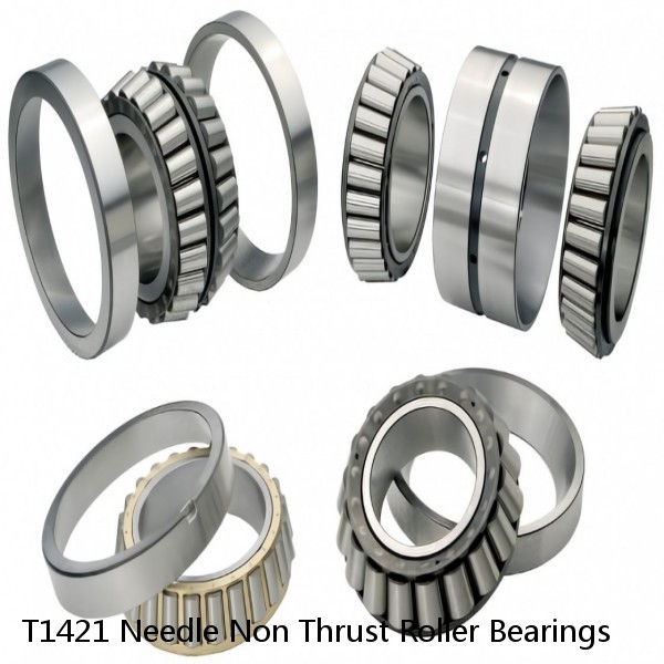 T1421 Needle Non Thrust Roller Bearings