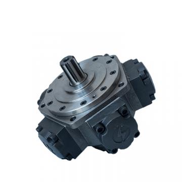 Five star Low speed high torque hidrolik Radial Piston Hydraulic Oil motor