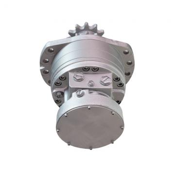 SAI JMDG160 series hydraulic piston motor