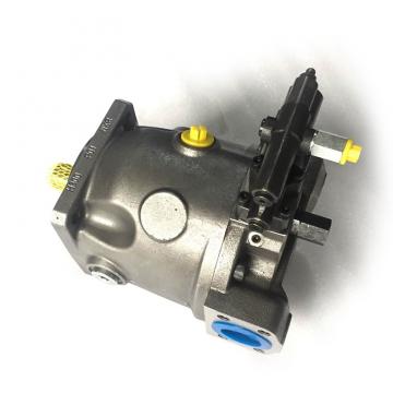 A10vs0100 Series Swing Motor Parts Excavator Parts for Valve Plate (L)