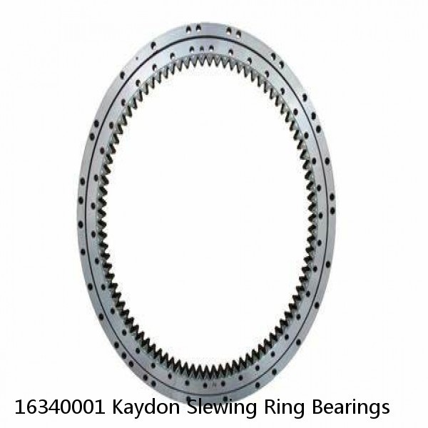 16340001 Kaydon Slewing Ring Bearings #1 small image