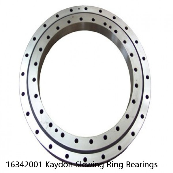 16342001 Kaydon Slewing Ring Bearings #1 small image