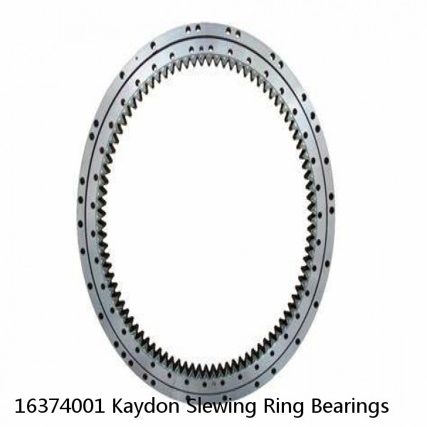 16374001 Kaydon Slewing Ring Bearings #1 small image