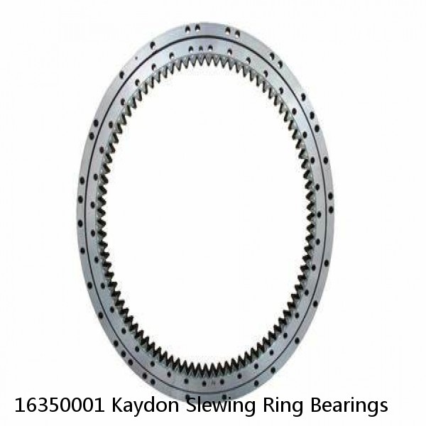 16350001 Kaydon Slewing Ring Bearings #1 small image