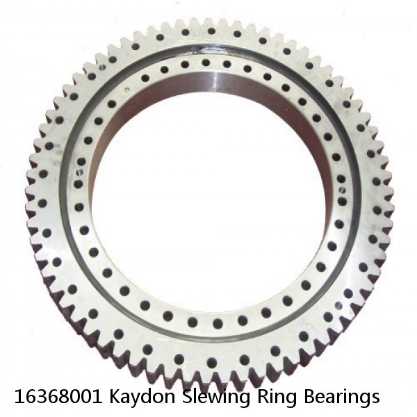 16368001 Kaydon Slewing Ring Bearings #1 small image