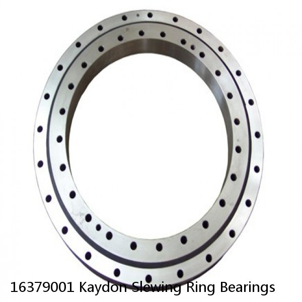 16379001 Kaydon Slewing Ring Bearings #1 small image