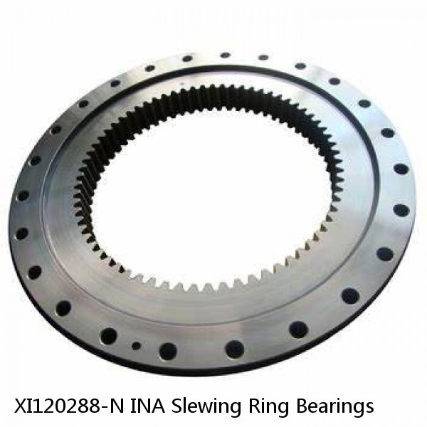 XI120288-N INA Slewing Ring Bearings #1 small image