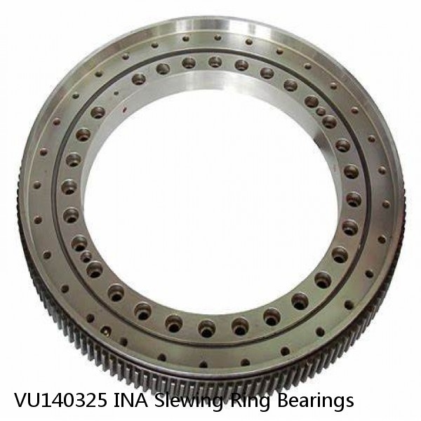 VU140325 INA Slewing Ring Bearings #1 small image