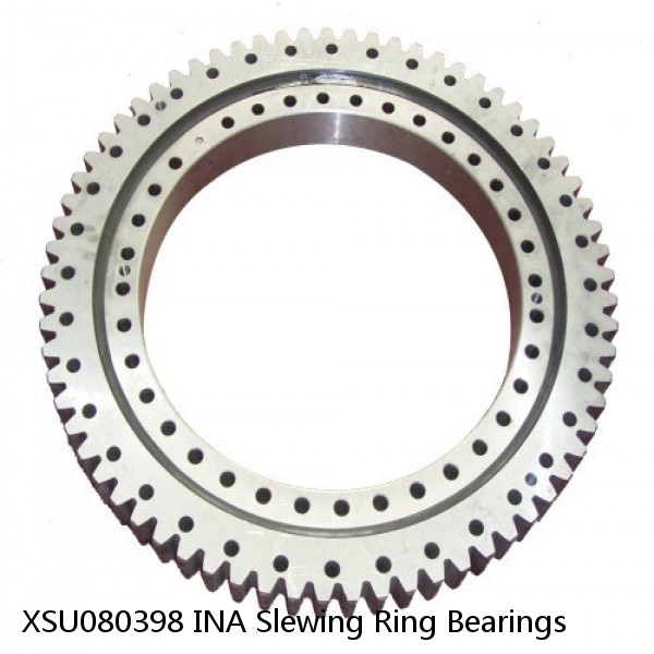 XSU080398 INA Slewing Ring Bearings #1 small image