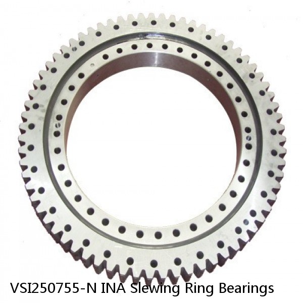 VSI250755-N INA Slewing Ring Bearings #1 small image