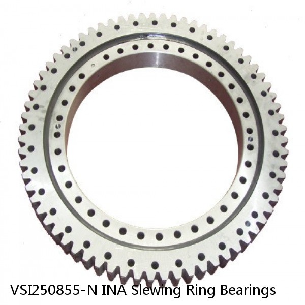 VSI250855-N INA Slewing Ring Bearings #1 small image