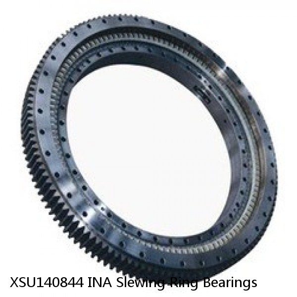 XSU140844 INA Slewing Ring Bearings #1 small image