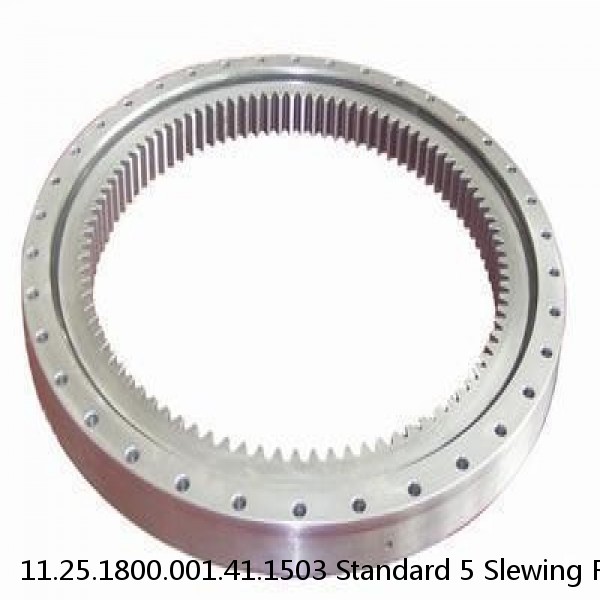 11.25.1800.001.41.1503 Standard 5 Slewing Ring Bearings #1 small image