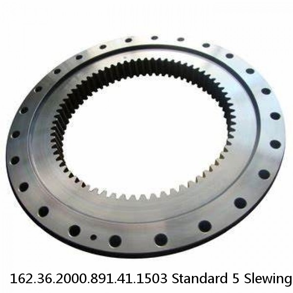 162.36.2000.891.41.1503 Standard 5 Slewing Ring Bearings #1 small image