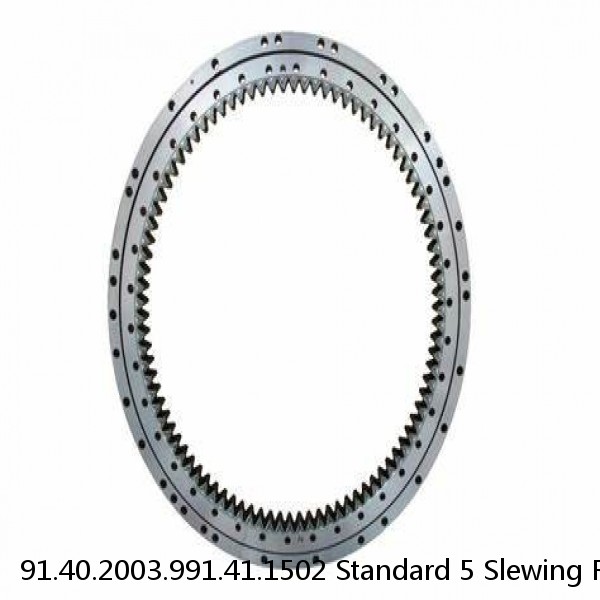 91.40.2003.991.41.1502 Standard 5 Slewing Ring Bearings #1 small image