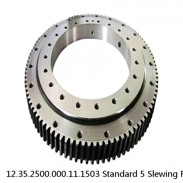 12.35.2500.000.11.1503 Standard 5 Slewing Ring Bearings #1 small image