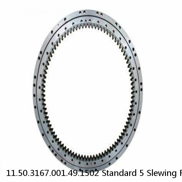 11.50.3167.001.49.1502 Standard 5 Slewing Ring Bearings #1 small image