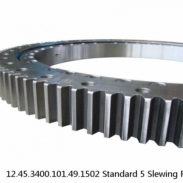 12.45.3400.101.49.1502 Standard 5 Slewing Ring Bearings #1 small image