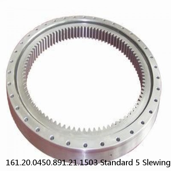 161.20.0450.891.21.1503 Standard 5 Slewing Ring Bearings #1 small image