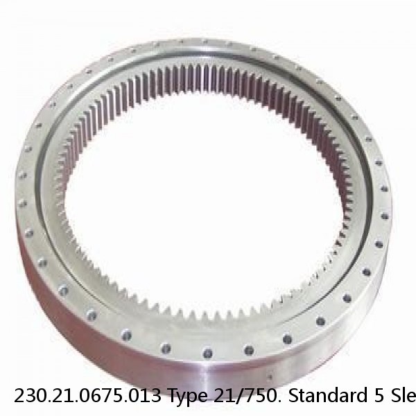 230.21.0675.013 Type 21/750. Standard 5 Slewing Ring Bearings #1 small image