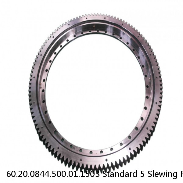 60.20.0844.500.01.1503 Standard 5 Slewing Ring Bearings #1 small image