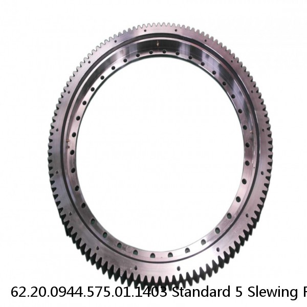 62.20.0944.575.01.1403 Standard 5 Slewing Ring Bearings #1 small image