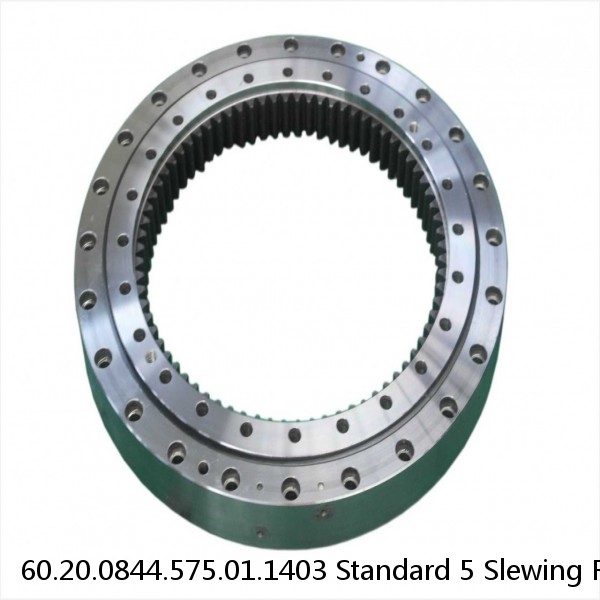 60.20.0844.575.01.1403 Standard 5 Slewing Ring Bearings #1 small image