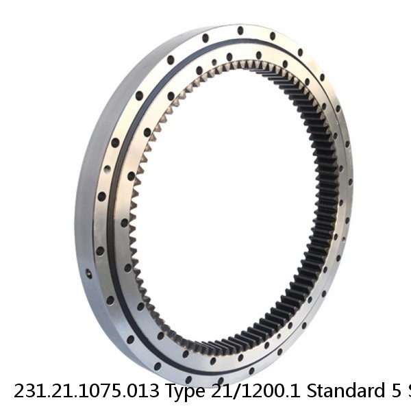 231.21.1075.013 Type 21/1200.1 Standard 5 Slewing Ring Bearings #1 small image