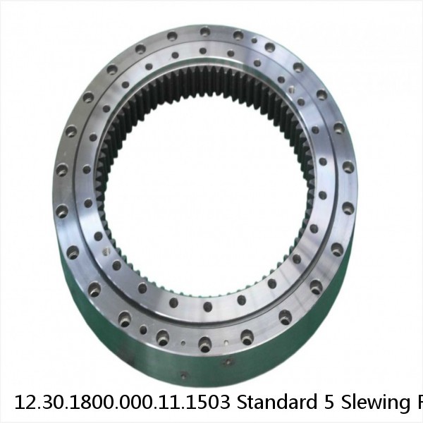 12.30.1800.000.11.1503 Standard 5 Slewing Ring Bearings #1 small image