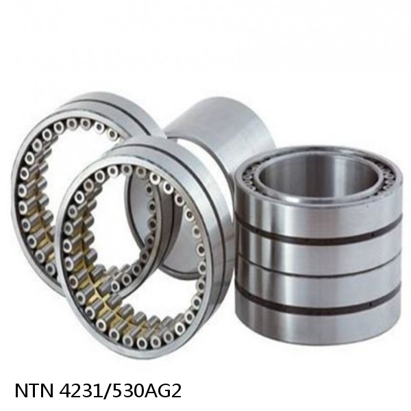 4231/530AG2 NTN Cylindrical Roller Bearing #1 small image