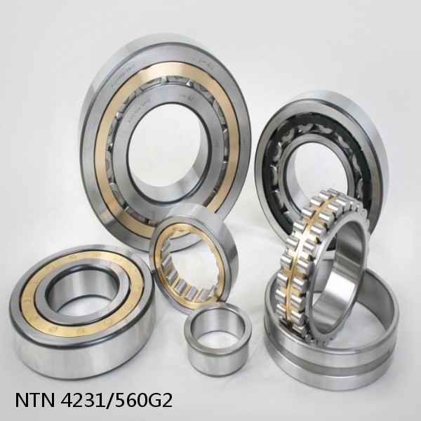 4231/560G2 NTN Cylindrical Roller Bearing