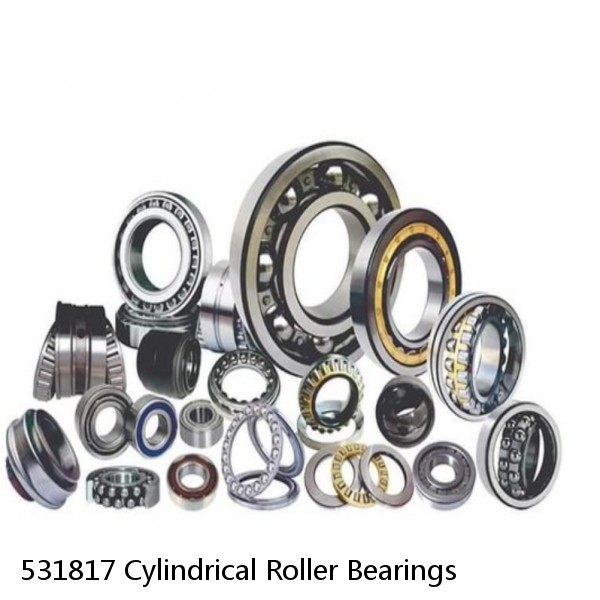 531817 Cylindrical Roller Bearings #1 small image