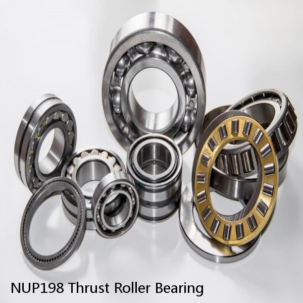 NUP198 Thrust Roller Bearing #1 small image