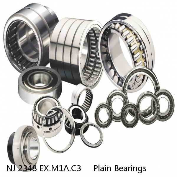 NJ 2348 EX.M1A.C3     Plain Bearings