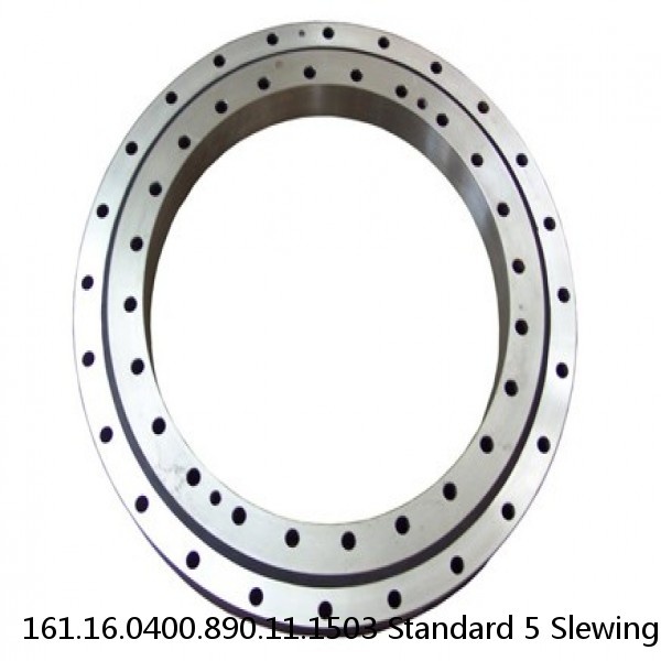 161.16.0400.890.11.1503 Standard 5 Slewing Ring Bearings #1 image