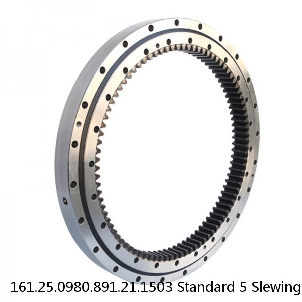 161.25.0980.891.21.1503 Standard 5 Slewing Ring Bearings #1 image