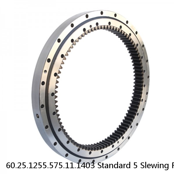 60.25.1255.575.11.1403 Standard 5 Slewing Ring Bearings #1 image