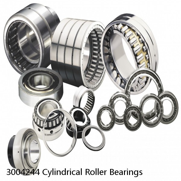 3004244 Cylindrical Roller Bearings #1 image