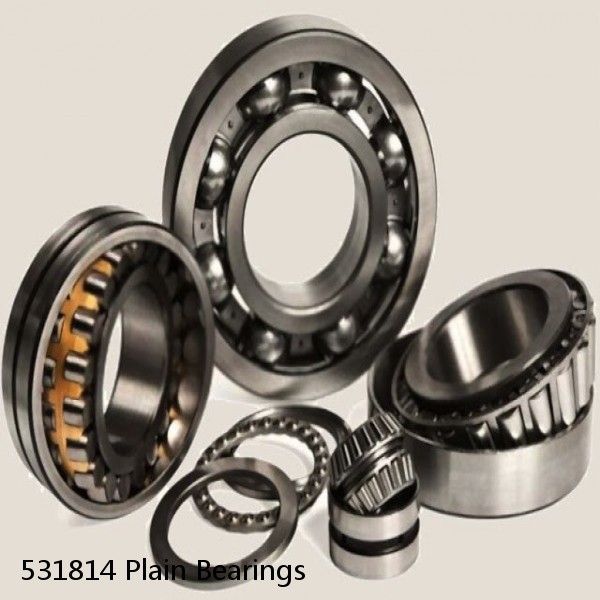 531814 Plain Bearings #1 image