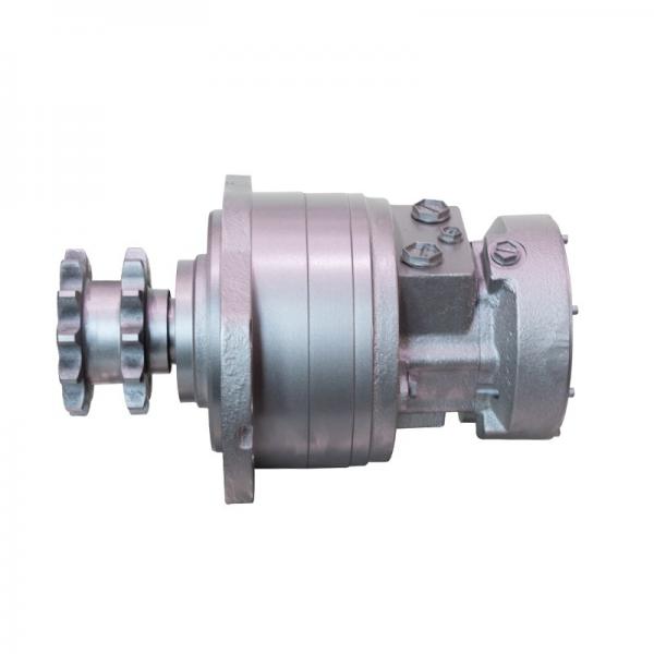 Piston Hydraulic Motor #1 image