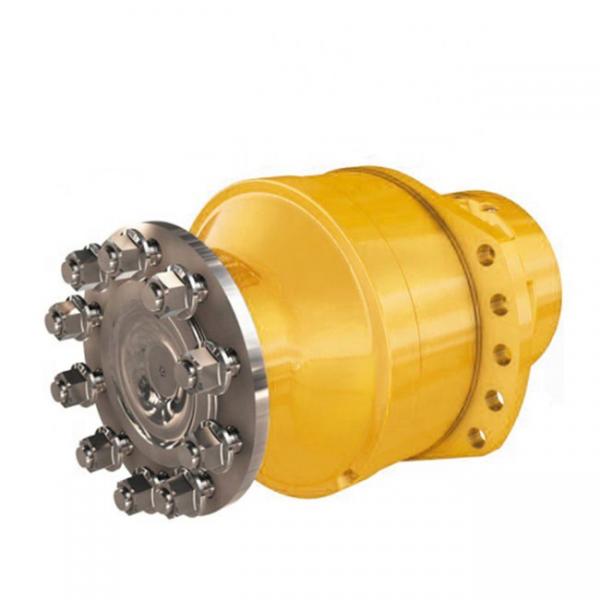 Helm Tower Brand Staffa JMDG Hydraulic Radial Piston Motors #5 image